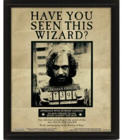 Cadre 3D Lenticulaire Harry Potter Sirius Black -Harry Potter Série Magasin cadre 3d lenticulaire harry potter sirius black 2