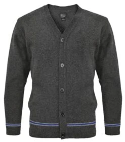 Cardigan Serdaigle Col V - Harry Potter -Harry Potter Série Magasin cardigan serdaigle adulte col v harry potter 2