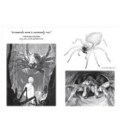 Carnet De Croquis "Les Créatures Magiques" - Harry Potter -Harry Potter Série Magasin carnet de croquis creatures magiques 4