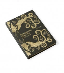 Carnet Journal Fantastic Beasts -Harry Potter Série Magasin carnet journal fantastic beasts 1