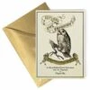 Carte De Voeux Eeylops Owl Emporium - Harry Potter -Harry Potter Série Magasin carte de voeux eeylops owl emporium harry potter