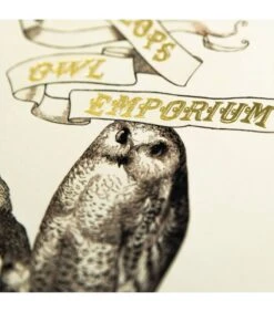 Carte De Voeux Eeylops Owl Emporium - Harry Potter -Harry Potter Série Magasin carte de voeux eeylops owl emporium harry potter 2