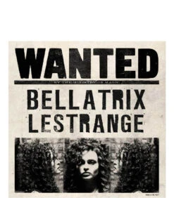 Carte De Voeux Lenticulaire Bellatrix Lestrange -Harry Potter Série Magasin carte de voeux lenticulaire bellatrix lestrange 1