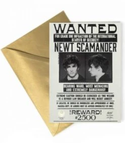 Carte De Voeux Lenticulaire Norbert Dragonneau- AF