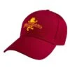 Casquette Gryffindor - Harry Potter -Harry Potter Série Magasin casquette gryffondor harry potter