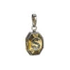 Charm Lumos Médaillon De Salazar Serpentard N°24