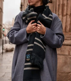 Echarpe - Maison Serdaigle