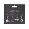 Ensemble De Charms Harry Potter 2 : Vif D’or - Reliques De La Mort - Potion - Quai 9 3/4