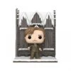 Figurine POP! N°156 Deluxe Harry Potter - Remus Lupin Et La Chambre Des Secrets