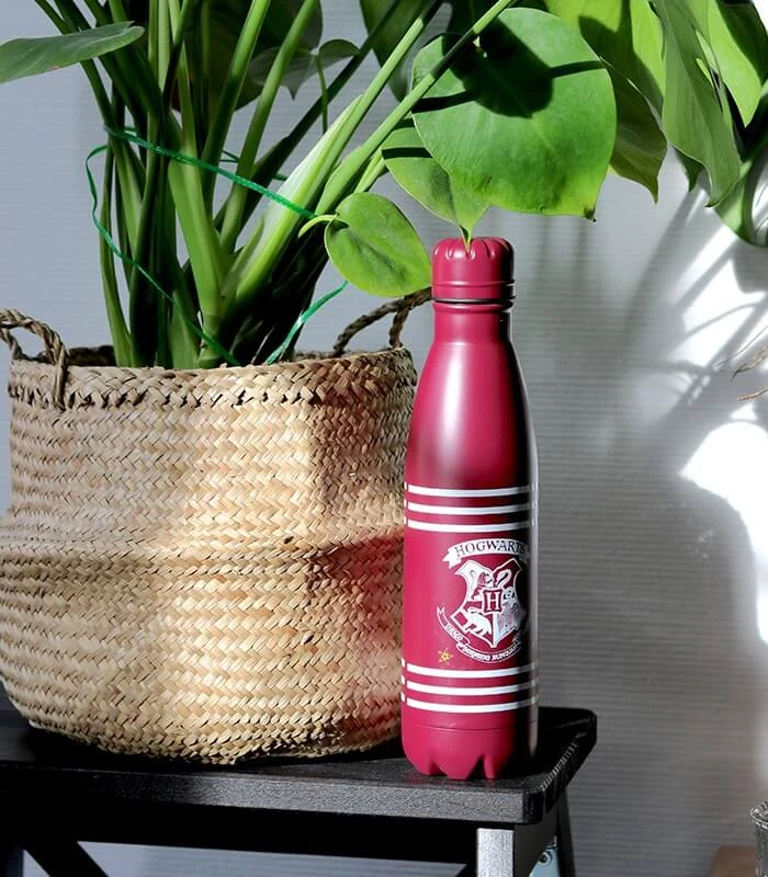 Gourde Isotherme Hogwarts 4 Gourde Isotherme Hogwarts – Image 2