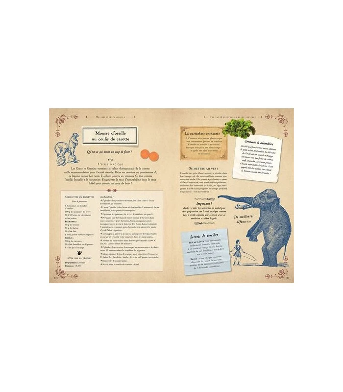 Grimoire De Sorcière - Brigitte Bulard-Cordeau 6 Grimoire De Sorcière - Brigitte Bulard-Cordeau – Image 4