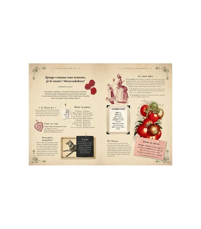 Grimoire De Sorcière - Brigitte Bulard-Cordeau 8 Grimoire De Sorcière - Brigitte Bulard-Cordeau – Image 6