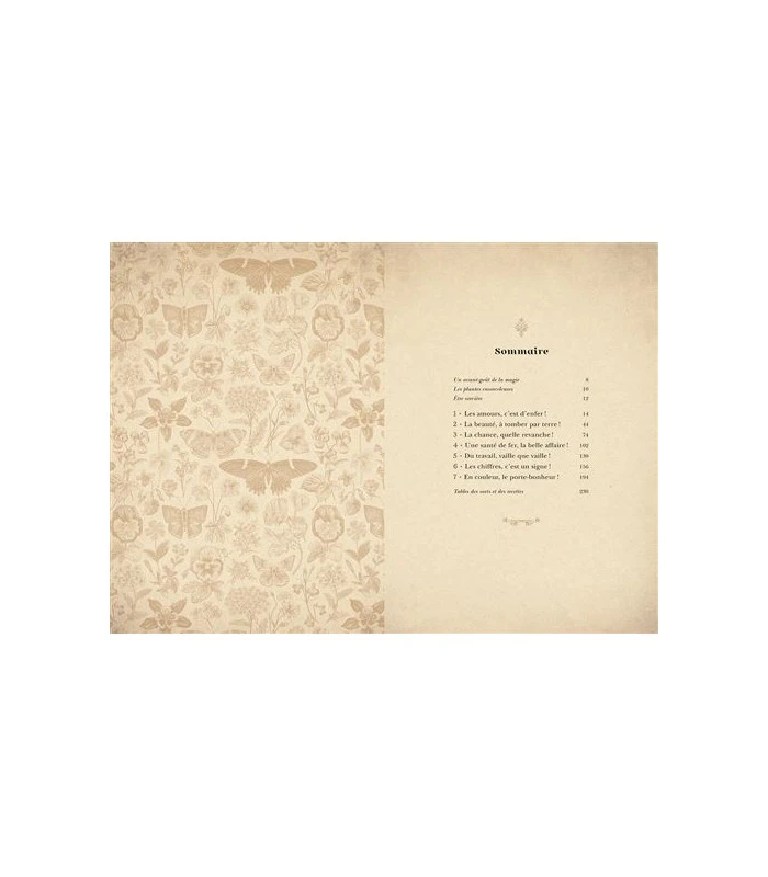 Grimoire De Sorcière - Brigitte Bulard-Cordeau 9 Grimoire De Sorcière - Brigitte Bulard-Cordeau – Image 7