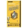 Harry Potter - Destination Poufsouffle : Coffret Magique Du Monde Des Sorciers -Harry Potter Série Magasin harry potter destination poufsouffle coffret magique du monde des sorciers