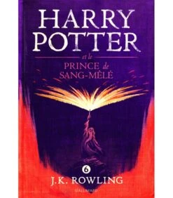 Harry Potter Et Le Prince De Sang-Mêlé - Volume 6