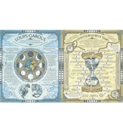 Harry Potter Le Guide Ultime - J.K.Rowling -Harry Potter Série Magasin harry potter le guide ultime 2