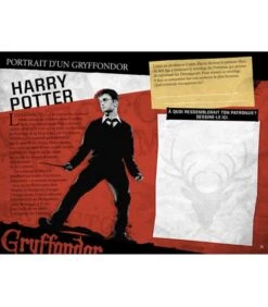 Harry Potter - Le Journal Créatif Les Maisons De Poudlard -Harry Potter Série Magasin harry potter le journal creatif les maisons de poudlard 3