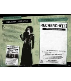 Harry Potter - Le Journal Créatif Les Maisons De Poudlard -Harry Potter Série Magasin harry potter le journal creatif les maisons de poudlard 5