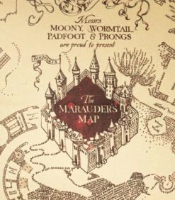 Housse De Coussin "The Marauder's Map" Harry Potter -Harry Potter Série Magasin housse de coussin the marauder s map harry potter 2