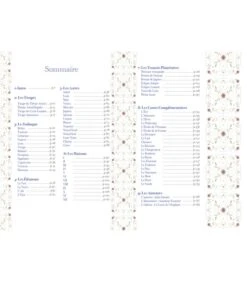 L'Oracle Celeste Astrokiff - Jùlia Salomé -Harry Potter Série Magasin l oracle celeste astrokiff julia salome 1 2