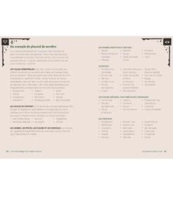 Le Livre De Sortilèges De La Sorcière Moderne - Ambrosia Hawthorn -Harry Potter Série Magasin le livre de sortilege de la sorciere moderne ambrosia hawthorn 5