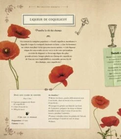 Le Nouveau Grimoire De Sorcière - Brigitte Bulard-Cordeau -Harry Potter Série Magasin le nouveau grimoire de sorciere brigitte bulard cordeau 2