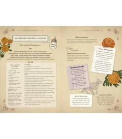 Le Nouveau Grimoire De Sorcière - Brigitte Bulard-Cordeau -Harry Potter Série Magasin le nouveau grimoire de sorciere brigitte bulard cordeau 5