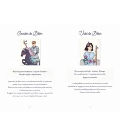 Le Tarot De Marseille Feel Good - Céline Camoun & Élodie Ascenci -Harry Potter Série Magasin le tarot de marseille feel good 2