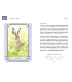 Mon Oracle Magique Animaux Totems -Harry Potter Série Magasin mon oracle magique animaux totems 1