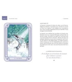 Mon Oracle Magique Animaux Totems -Harry Potter Série Magasin mon oracle magique animaux totems 2