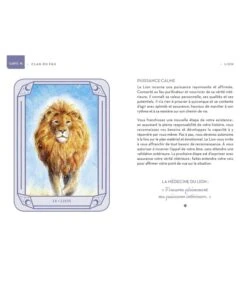 Mon Oracle Magique Animaux Totems -Harry Potter Série Magasin mon oracle magique animaux totems 3