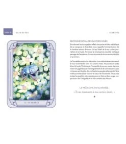 Mon Oracle Magique Animaux Totems -Harry Potter Série Magasin mon oracle magique animaux totems 4