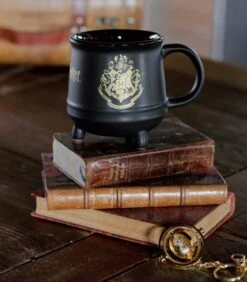 Mug Chaudron Hogwarts Harry Potter