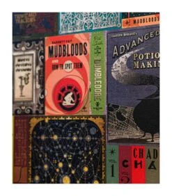 Papier Peint Hogwarts’ Book Covers -Harry Potter Série Magasin papier peint hogwarts book covers 2