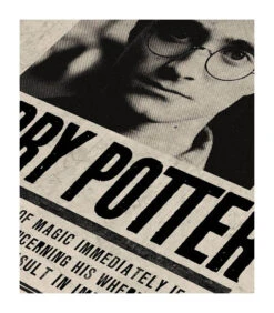 Poster Undesirable No.1 Harry Potter Par Minalima -Harry Potter Série Magasin poster undesirable no1 harry potter 2