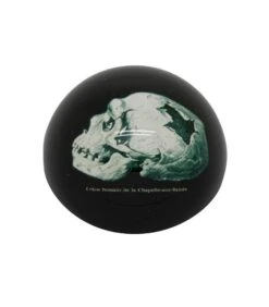 Presse Papier Crâne