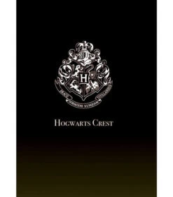 Lampe Projecteur Lumos Harry Potter -Harry Potter Série Magasin projecteur lumos harry potter 2