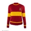 Pull Adulte De Quidditch Gryffondor Harry Potter -Harry Potter Série Magasin pull de quidditch gryffondor