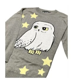 Pull Etoile Hedwige