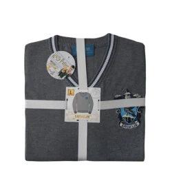 Pull Enfant Serdaigle Harry Potter -Harry Potter Série Magasin pull serdaigle kids 2
