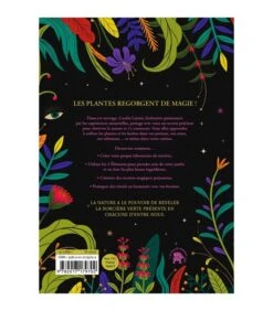 Sorcières à La Main Verte - Cecilia Lattari -Harry Potter Série Magasin sorcieres a la main verte cacilia lattari 1