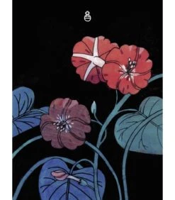 Tarot Botanica - Kevin Jay Stanton -Harry Potter Série Magasin tarot botanica kevin jay stanton 4