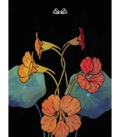 Tarot Botanica - Kevin Jay Stanton -Harry Potter Série Magasin tarot botanica kevin jay stanton 5