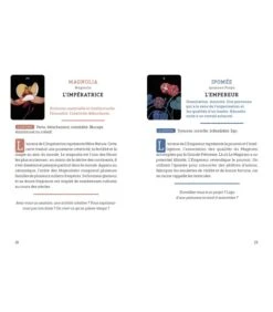 Tarot Botanica - Kevin Jay Stanton -Harry Potter Série Magasin tarot botanica kevin jay stanton 7