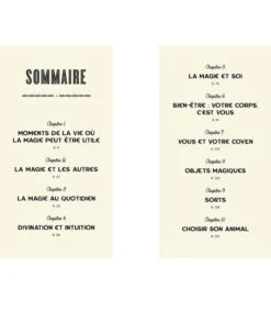 Tout Le Monde Peut être Une Sorcière - Ambrosia Hawthorn -Harry Potter Série Magasin tout le monde peut etre une sorciere ambrosia hawthorn 2